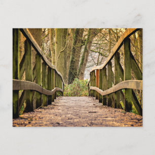 Alte Holzbrücke, Natur, Wald Postkarte