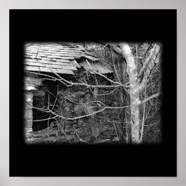 Alte Hütte und Baum. Schwarz und Weiß. Poster (Vorne)