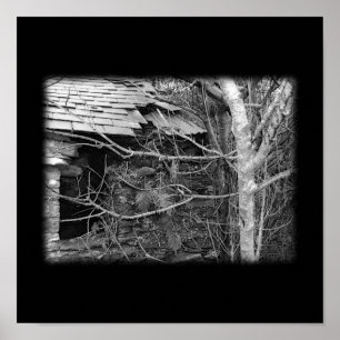 Alte Hütte und Baum. Schwarzweiss. Poster