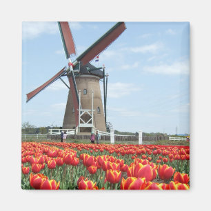Alte Japanische Windmühle Magnet
