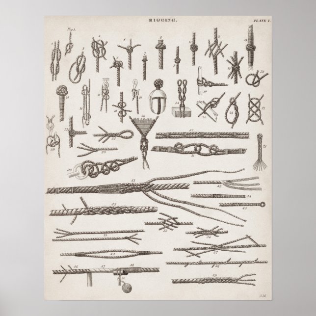 Alte Knoten Poster (Vorne)