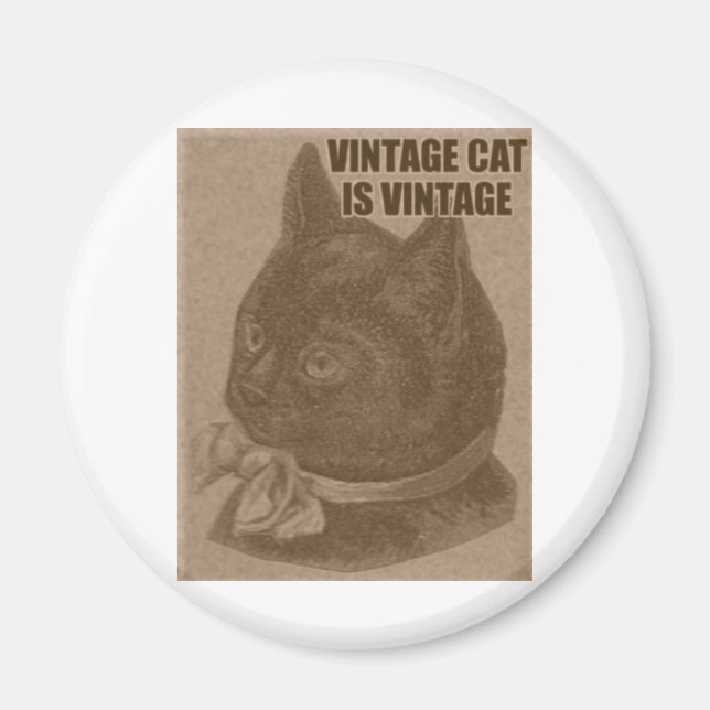 Alte LOLkatze Magnet (Vorne)
