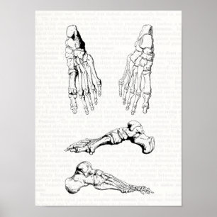 Alte medizinische Kunst-menschliche Poster