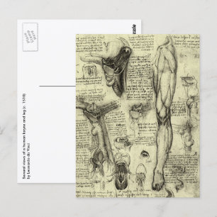 Alte menschliche Anatomie Kehlkopf Bein Leonardo d Postkarte