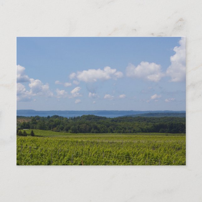 Alte Mission Halbinsel, Michigan Postkarte (Vorderseite)