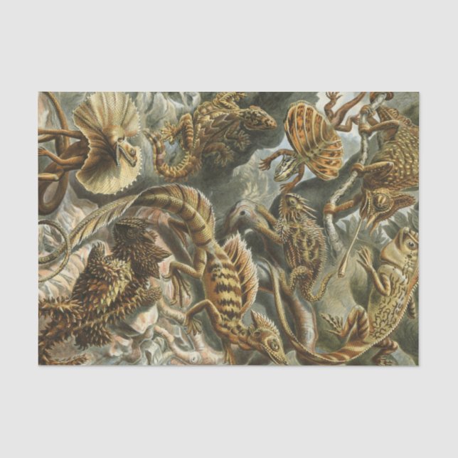 Alte Modeillustration Lacertilia Ernst Haeckels Seidenpapier (Vorderseite)