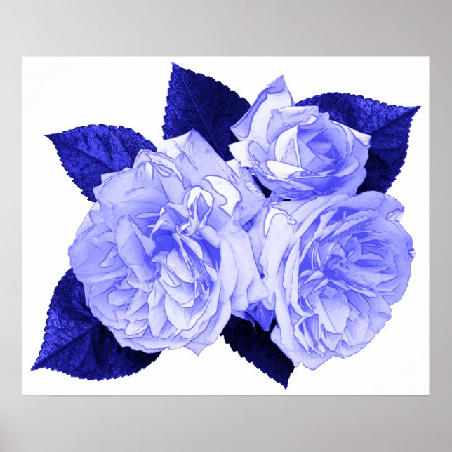 Alte modische Rose Poster (Vorne)