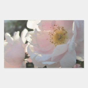 Alte modische Rose Rechteckiger Aufkleber