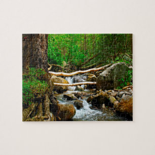 Alte Mühle Gatlinburg Tennessee