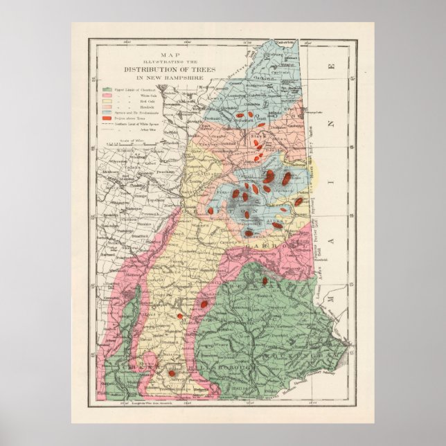 Alte neue Hampshire-Baumart-Karte (1877) Poster (Vorne)