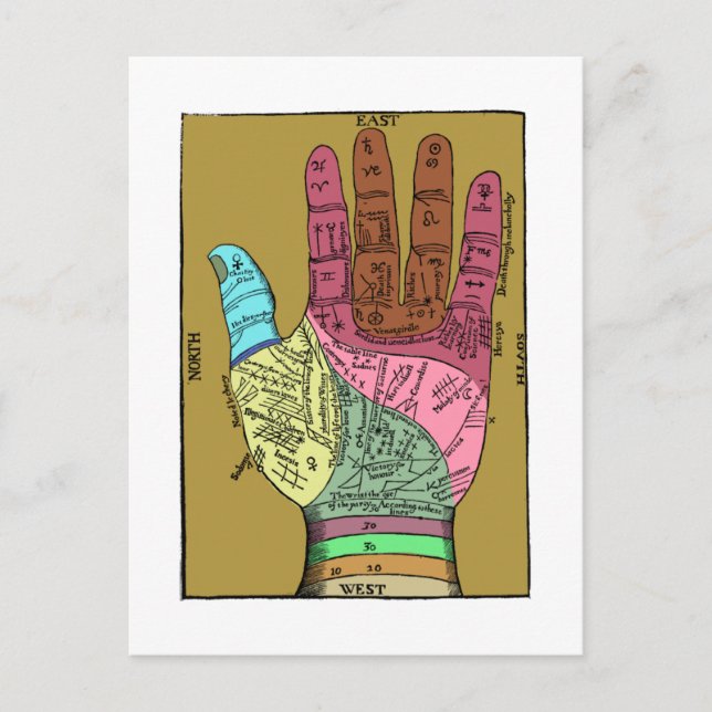 Alte Palm Reading Chart Postkarte (Vorderseite)