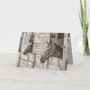 alte Pferde mit Grußkarte Feiertagskarte