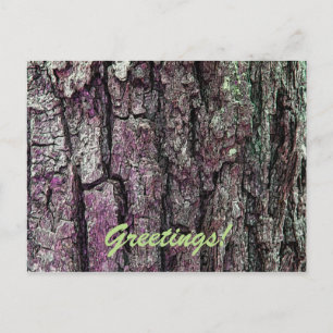 Alte Pine Bark mit Textgrüßen Postkarte
