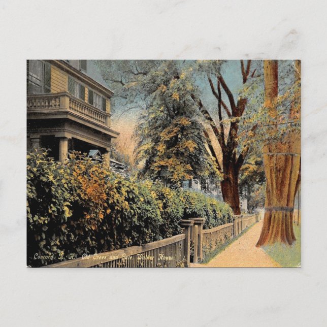 Alte Postkarte - Concord New Hampshire (Vorderseite)