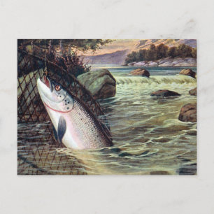 Alte Postkarte - Ein Lachs gelandet
