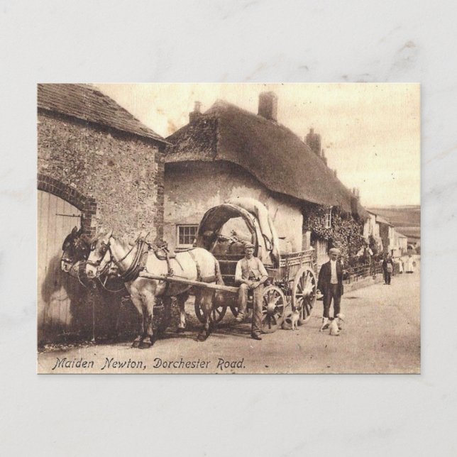 Alte Postkarte - Maiden Newton, Dorset (Vorderseite)