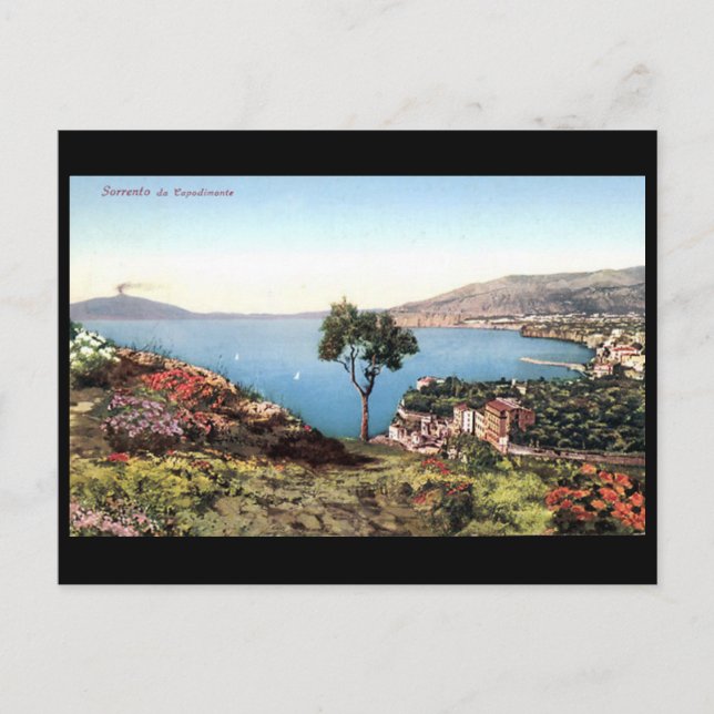Alte Postkarte - Sorrento, Italien (Vorderseite)