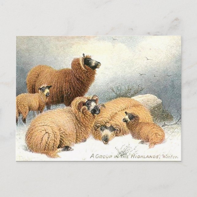 Alte Postkarte - Winter (Vorderseite)