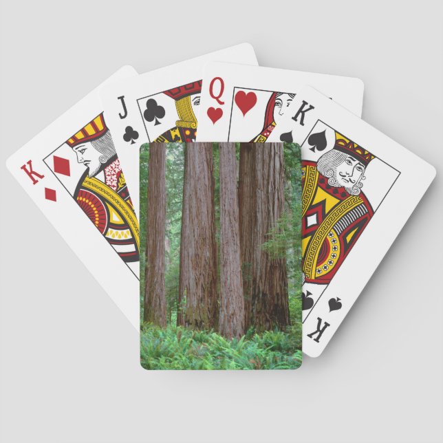 Alte Redwoods Towering Spielkarten (Rückseite)