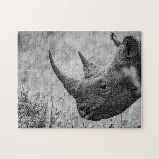 Alte Rhinozeros - Schwarz-Weiß-HD-Foto-Puzzle (Horizontal)