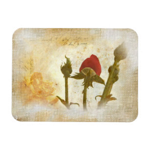 Alte Rose Magnet