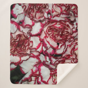 Alte Rose, Rosa, Hintergrund und Textur mit Leathe Sherpadecke