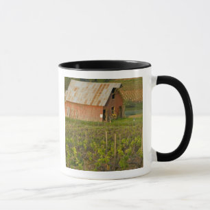 Alte rote Scheune am Rand des Zinfandel-Weingarten Tasse