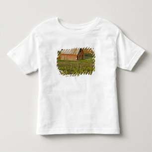 Alte rote Scheune am Rand von Zinfandel-Weinberg Kleinkind T-shirt
