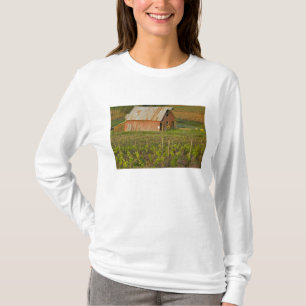 Alte rote Scheune am Rand von Zinfandel-Weinberg T-Shirt