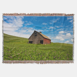 Alte, rote Scheune auf einem Feld mit Kichererbsen Decke