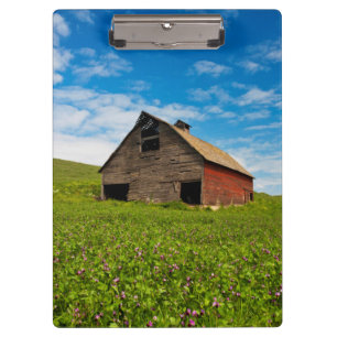Alte, rote Scheune auf einem Feld mit Kichererbsen Klemmbrett