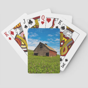 Alte, rote Scheune auf einem Feld mit Kichererbsen Spielkarten