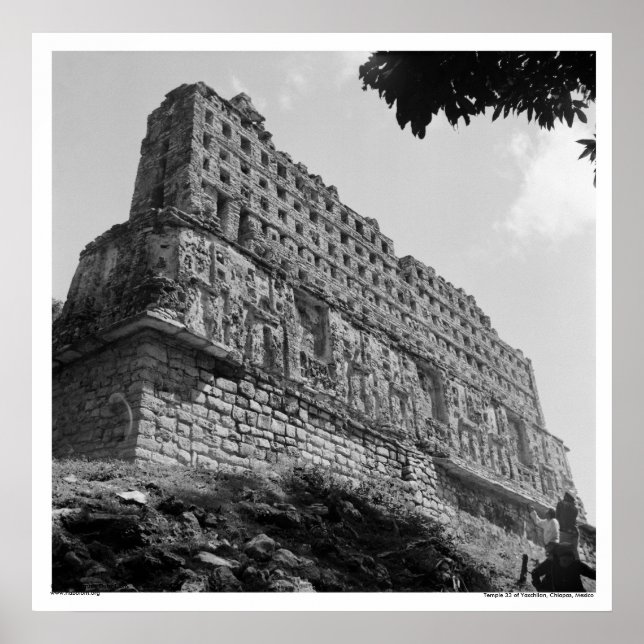 Alte Ruinen: Tempel 33 von Yaxchilan Poster (Vorne)