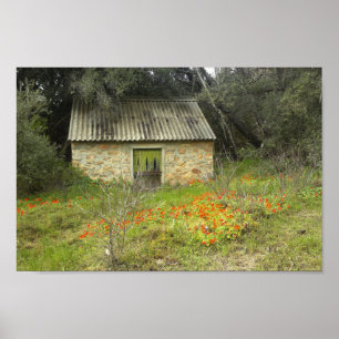 Alte Rustikale Steinbauten Hütte Blume Wiesen Poster