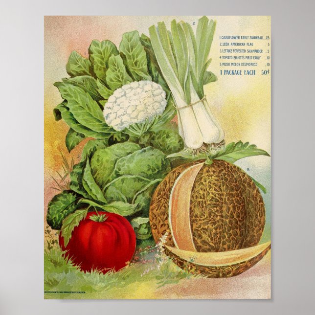 Alte Samenwerbung Poster (Vorne)