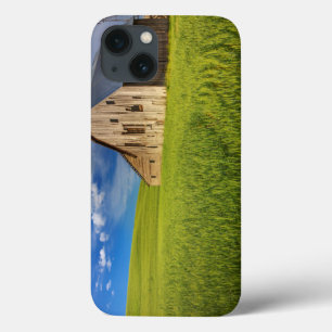 Alte Scheune auf einem Feld mit Sommerweizen iPhone 13 Hülle