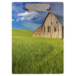 Alte Scheune auf einem Feld mit Sommerweizen Klemmbrett