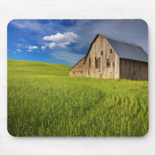 Alte Scheune auf einem Feld mit Sommerweizen Mousepad