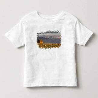 Alte Scheune gerahmt durch Heuballen und drastisch Kleinkind T-shirt