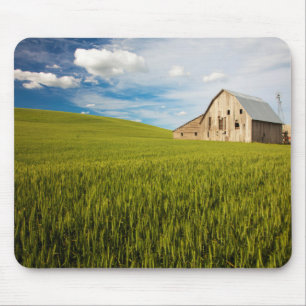 Alte Scheune umgeben von einem Feld mit Sommerweiz Mousepad
