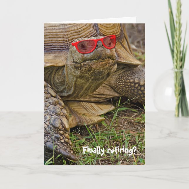 Alte Schildkröte in roter Sonnenbrille im Ruhestan Karte (Vorderseite)