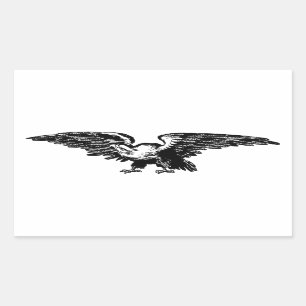 Alte Schulillustration Weißkopfseeadler-Aufkleber Rechteckiger Aufkleber