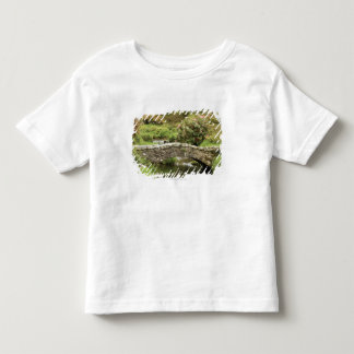 Alte Steinbrücke über einem Strom in Dartmoor Park Kleinkind T-shirt