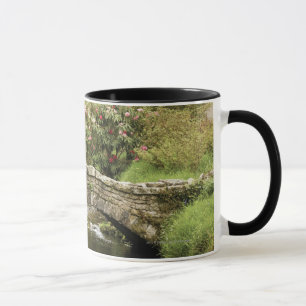 Alte Steinbrücke über einem Strom in Dartmoor Park Tasse