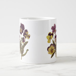 Alte Stiefmütterchen in Blüte, Blumen des Gartens Jumbo-Tasse