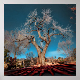 Alte Straßen der Canyon Road Poster