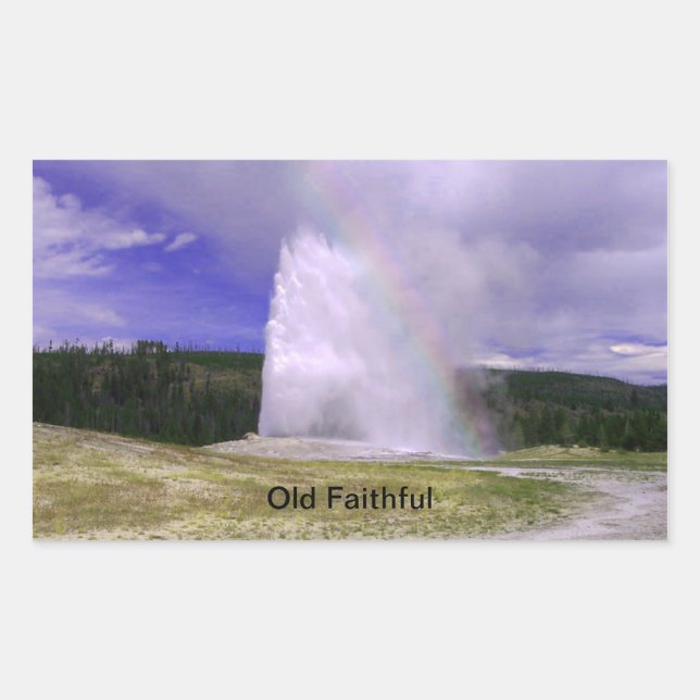 Alte Treue im Yellowstone Nationalpark Rechteckiger Aufkleber (Vorderseite)