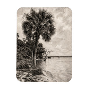 Alte Uferlinie Floridas Graphit-Skizze Rockledge Magnet