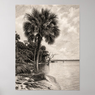 Alte Uferlinie Floridas Graphit-Skizze Rockledge Poster