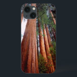 Alte, wachsende Sequoia-Redwood-Bäume Case-Mate iPhone Hülle<br><div class="desc">Jaynes Gallery / DanitaDelimont.com | USA,  Nordamerika,  Kalifornien | USA,  Kalifornien,  Sierra Nevada. Alte,  wachsende Sequoia Redwood Bäume in der Hohen Sierra. Anerkennung als: Christopher Talbot Frank / Jaynes Gallery / DanitaDelimont.com</div>